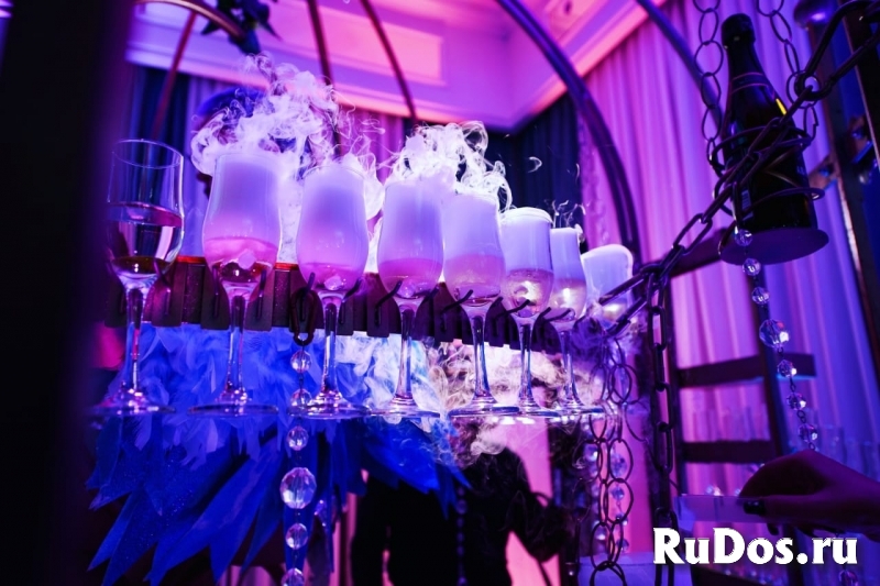 Шоу в клетке «Райская птичка» с подачей шампанског изображение 5