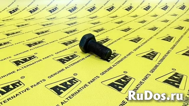 Болт ОЕМ 123918 фото