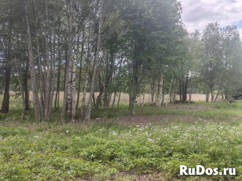 Продам участок 20.25 сот. изображение 7