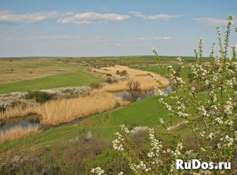 Пай 5,78 гектара,Хомутовская степь,Донецк изображение 5