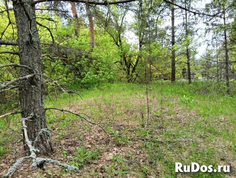 Продам коммерческую недвижимость 103.6 м2 изображение 4