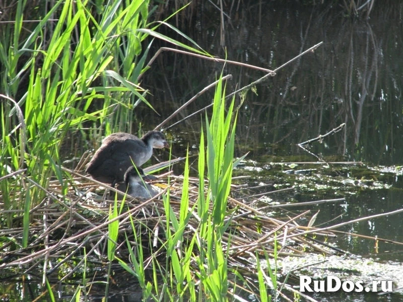 Инженерно-геологические изыскания фотка