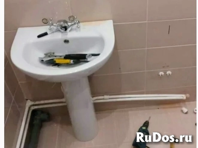 Орел изображение 4