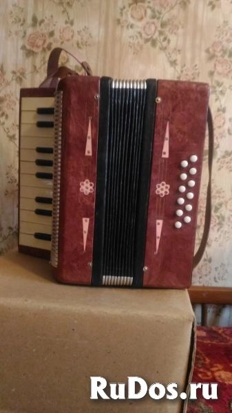 Детский аккордеон фотка