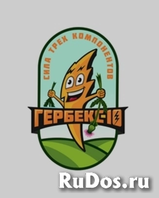 Гербекс пв10 (HERBEX PV10) от ChemService - чистка труб изображение 5