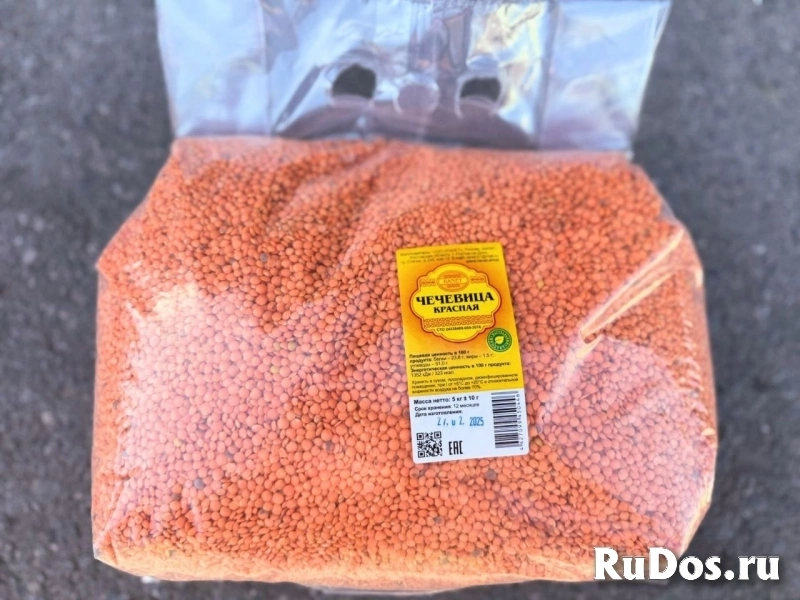 Чечевица фото