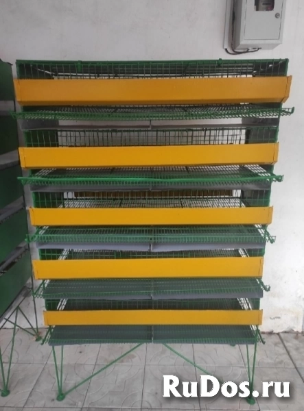 Секции для перепелов фото