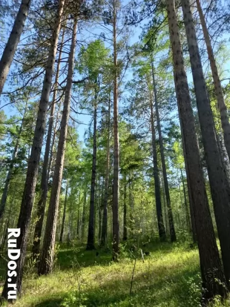 магия целительство фото