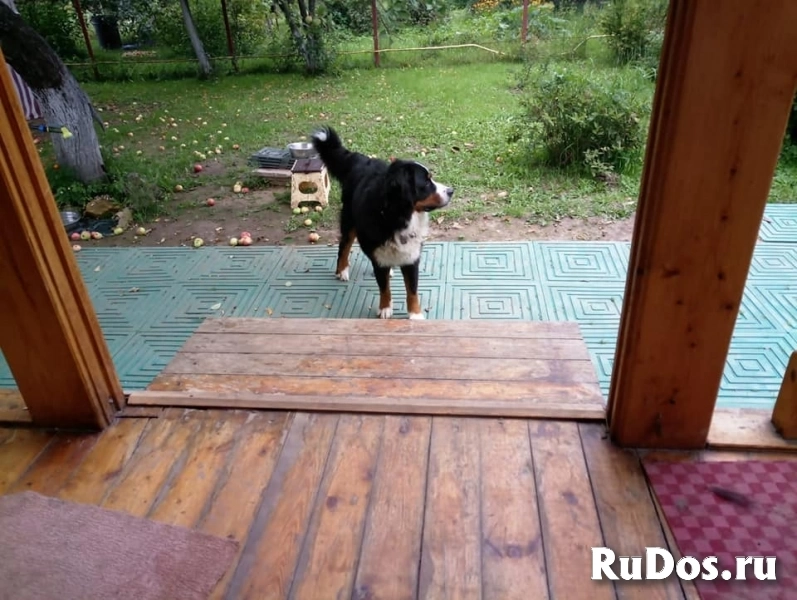 Сделай сам дорожки на даче – садовая дорожка быстро и надолго фотка