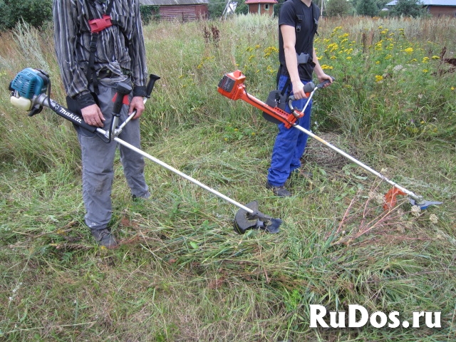 Покос Травы, Бурьяна, Сухостоя фото