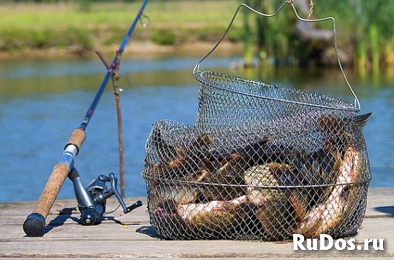 Ищу попутчика на рыбалку в Санкт-Петербурге (или г. Ломоносов) фотка