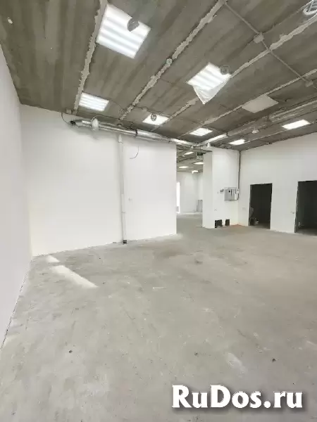 Помещение 140 м², два зала изображение 5