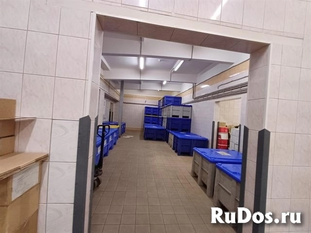 Продажа базы 1500 м2 под пищевое производство и не только изображение 6