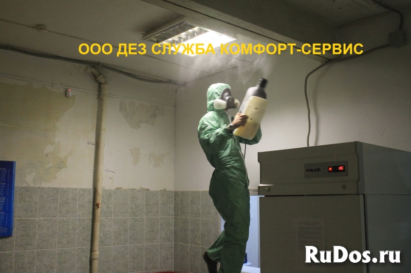 Как избавиться от клопов и тараканов изображение 3