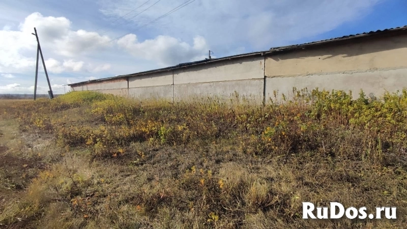 Продам коммерческую недвижимость 1105 м2 изображение 8