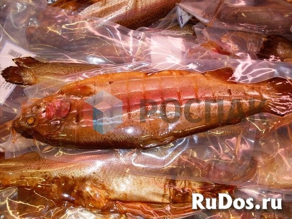 Рыбный вакуумный упаковщик RVM-400 ROSPAK изображение 5