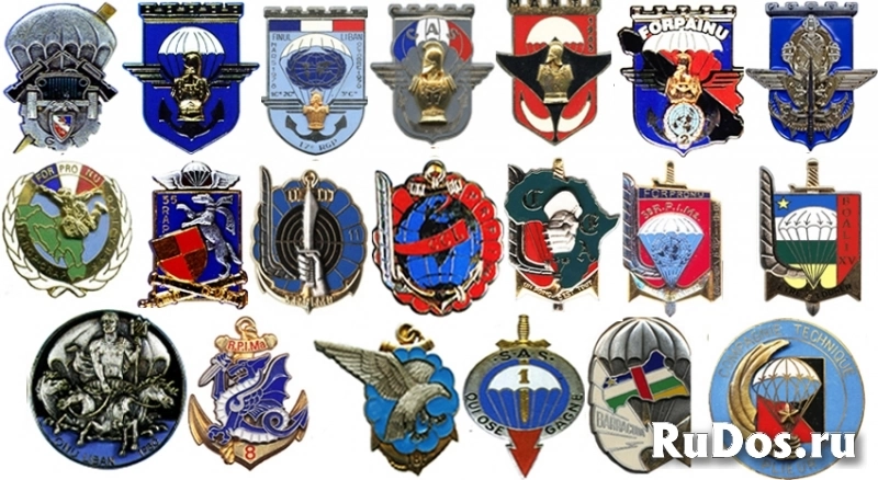 Знаки парашютистов Франции фотка