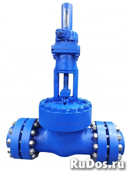 Задвижки 30лс45нж,30лс76нж,30лс41нж,30лс15нж,ЗМС,ЗД,ЗДШ изображение 3