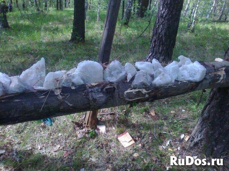 Соль для охоты. Лизунцы для солонцов фотка