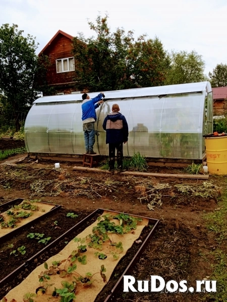 Ремонт теплицы замена сотового поликарбоната изображение 6