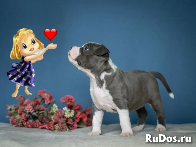 Очаровательные малыши аст ркф изображение 9