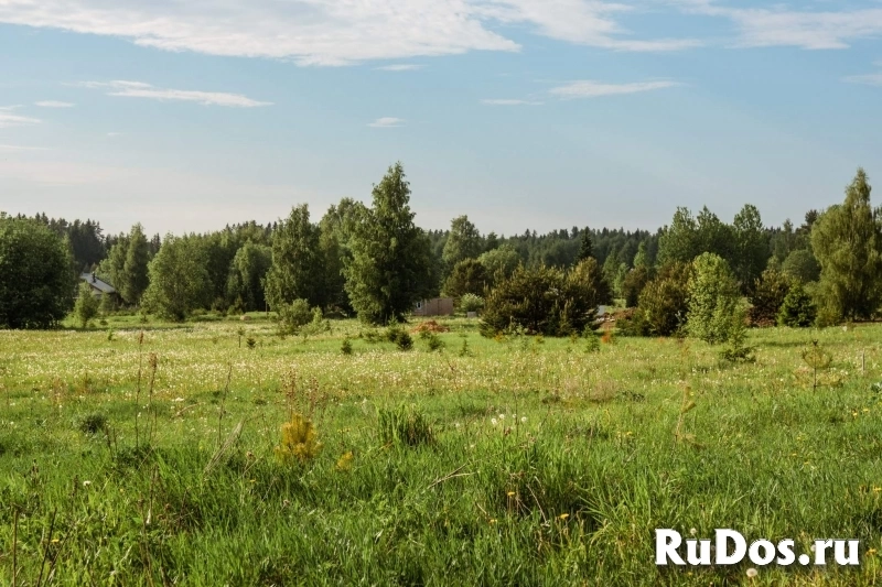 Продам участок 18 сот. изображение 4