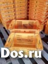 Пластиковые корзины 83л (парамушки) фото