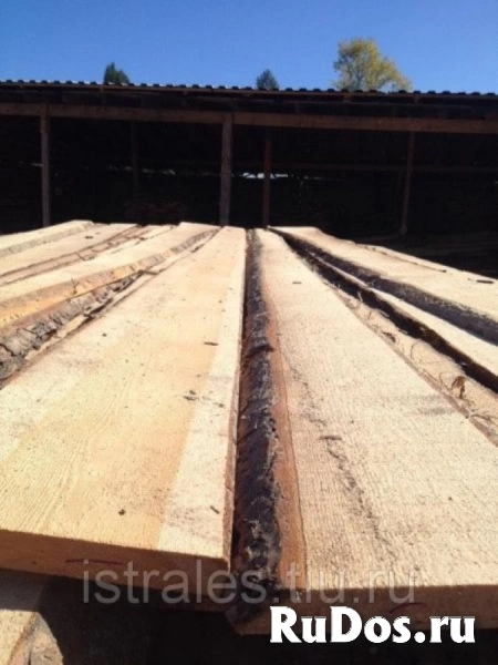 Доска столярная сосна 50мм, сухая необрезная изображение 3