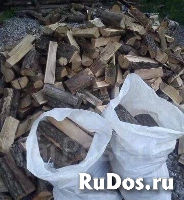 Березовые колотые дрова в мешках фото
