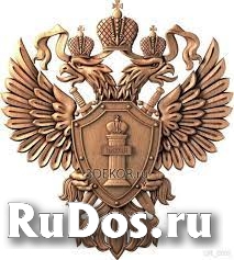 Адвокат по уголовным делам в Ростове-на-Дону. фото