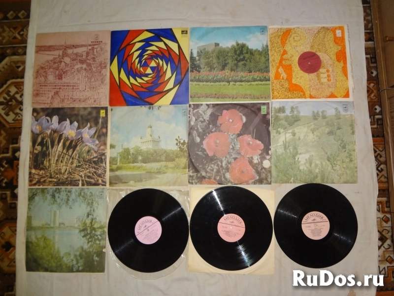 Пластинки виниловые изображение 9