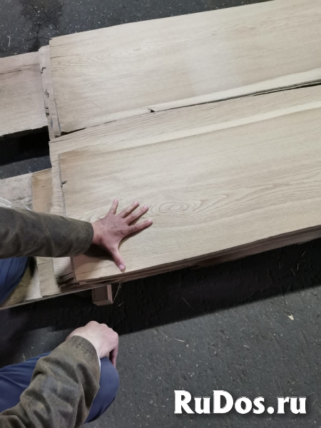 Шпон, шпонированный МДФ из дуба, бука, ясеня, клена, акации, капового тополя. изображение 3