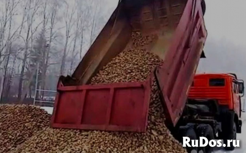 Доставка сыпучих материалов изображение 6