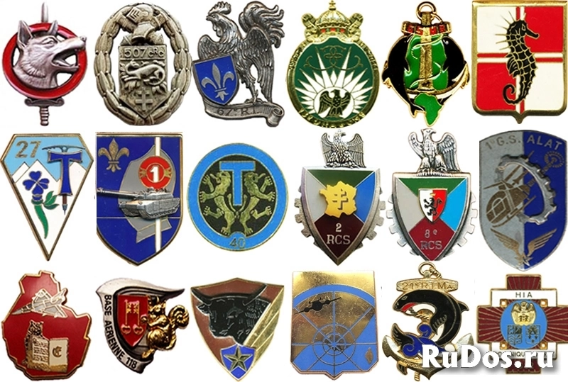 Полковые знаки  Франции фото