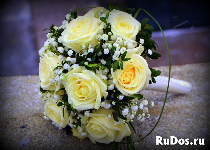 Фото и видеосъемка в Москве и области изображение 7