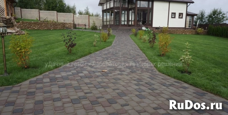 Газон под ключ изображение 3