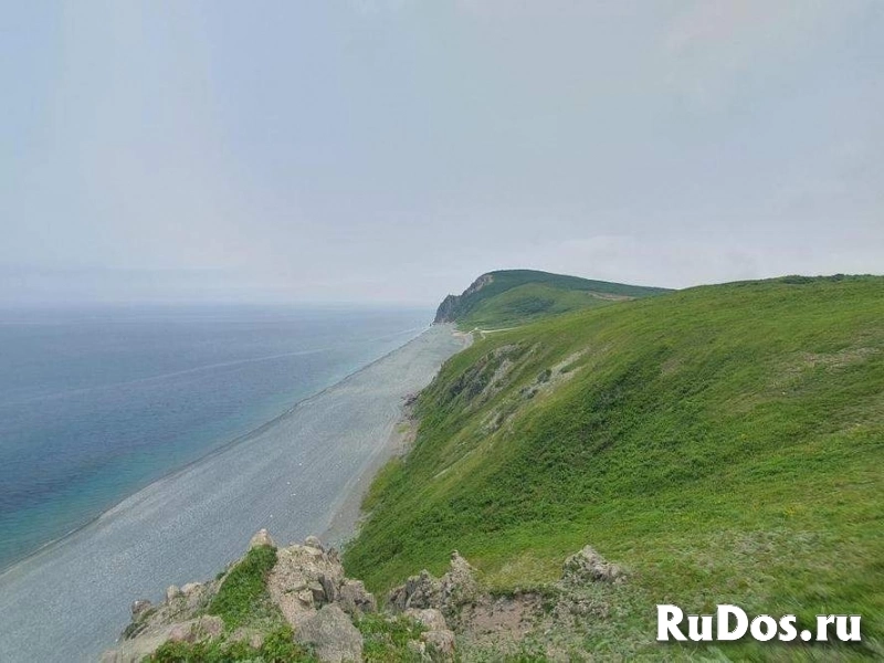 Продам коммерческую недвижимость 40000 сот фотка