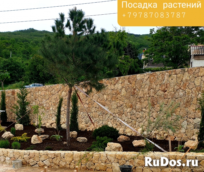 Ландшафтный дизайн фотка