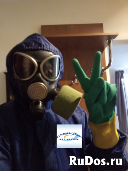 Как избавиться от клопов и тараканов изображение 5