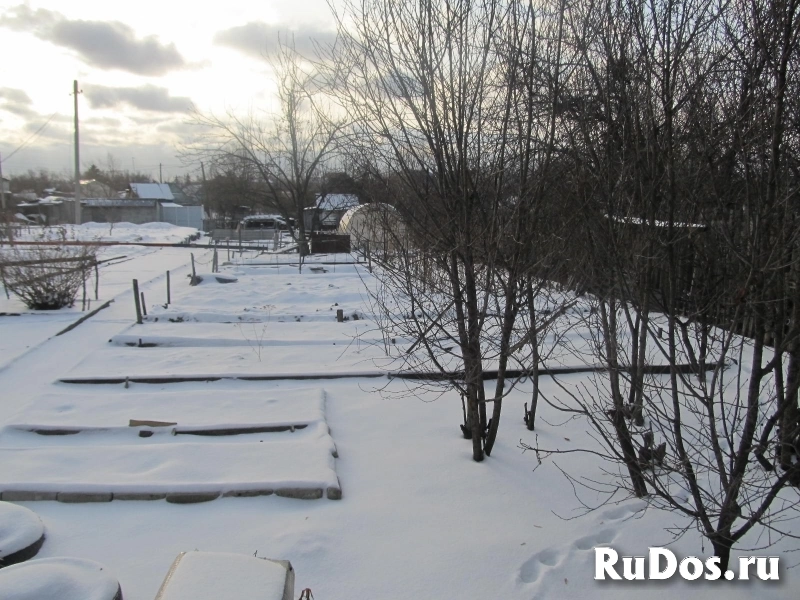 Дача СТ Областная больница изображение 7