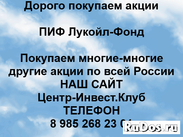 Акции ПАИ Лукойл-Фонд фото