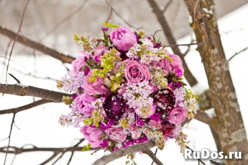 Фото и видеосъемка в Москве и области изображение 3