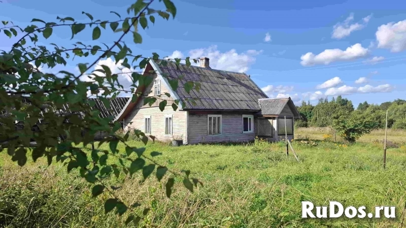 Дом на уютном хуторе у хвойного леса под Псковскими Печорами, 6 Га. земли изображение 3