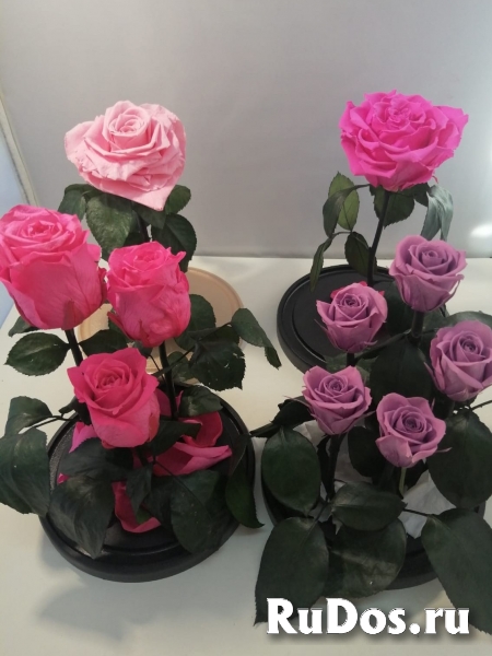 Роза в колбе оптом изображение 6