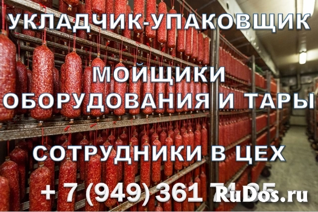 Мойщик оборудования и тары фото