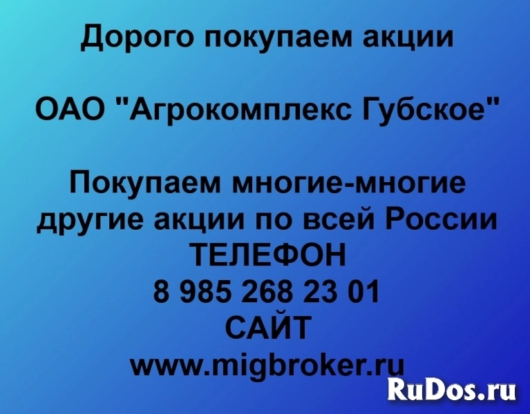 Покупаем акции «Агрокомплекс Губское» фото