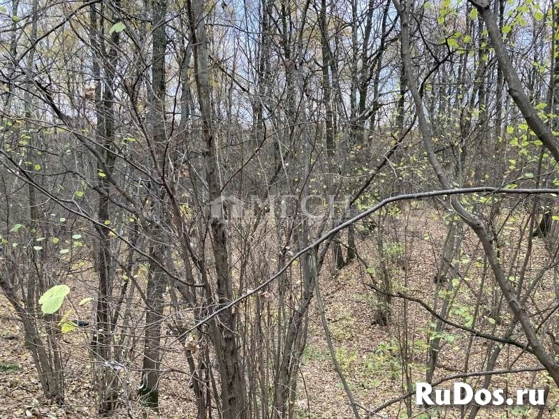 Продам 1 комнатную квартиру 35 м2 изображение 8