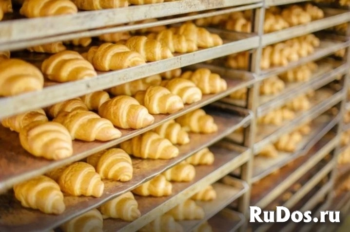 Грузчики, комплектовщики, котломойщики Вахта фото