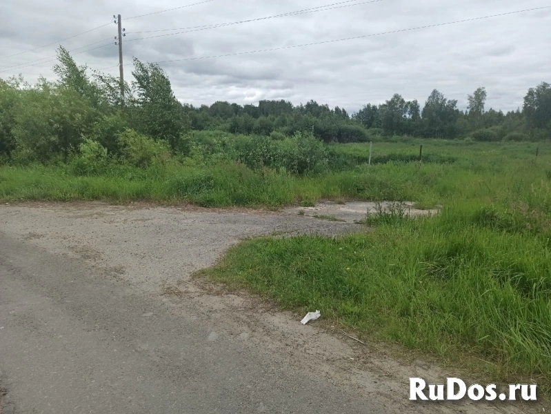 Продам 10 соток по Салаирскому тракту СНТ Строитель изображение 4
