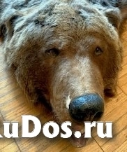 , частное объявление изображение 3